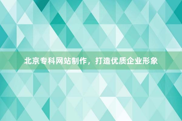 北京专科网站制作，打造优质企业形象