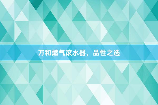 万和燃气滚水器，品性之选