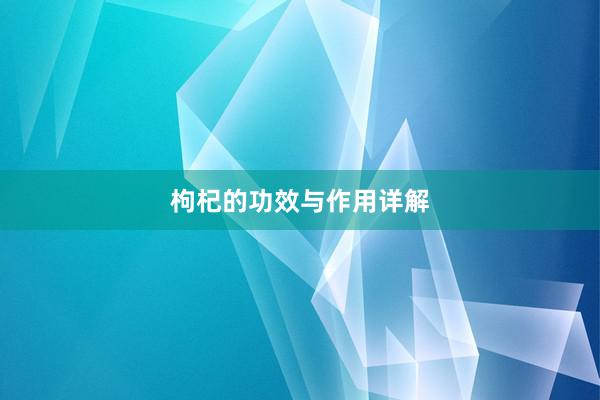 枸杞的功效与作用详解