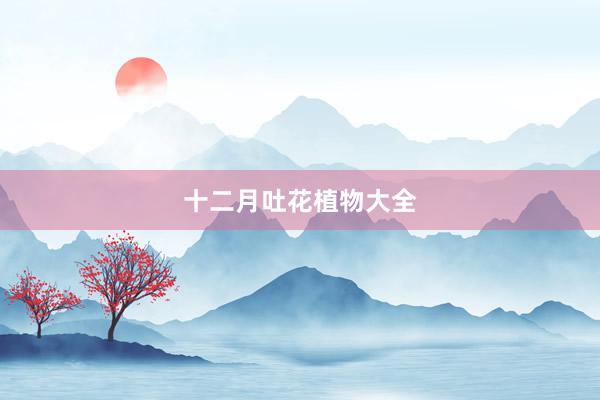 十二月吐花植物大全