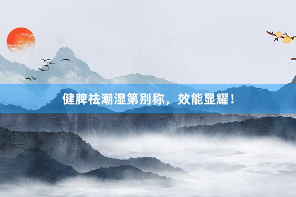 健脾祛潮湿第别称，效能显耀！